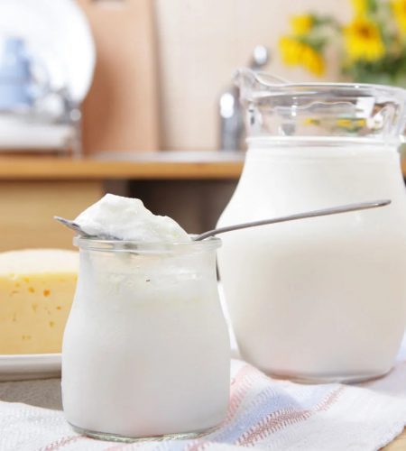 milk-yogurt-cheese-dairy